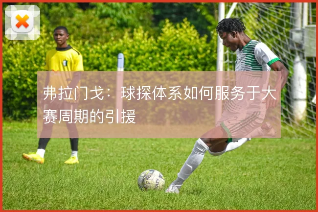 弗拉门戈:球探体系如何服务于大赛周期的引援