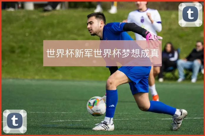 世界杯新军世界杯梦想成真